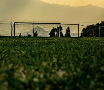 grass land